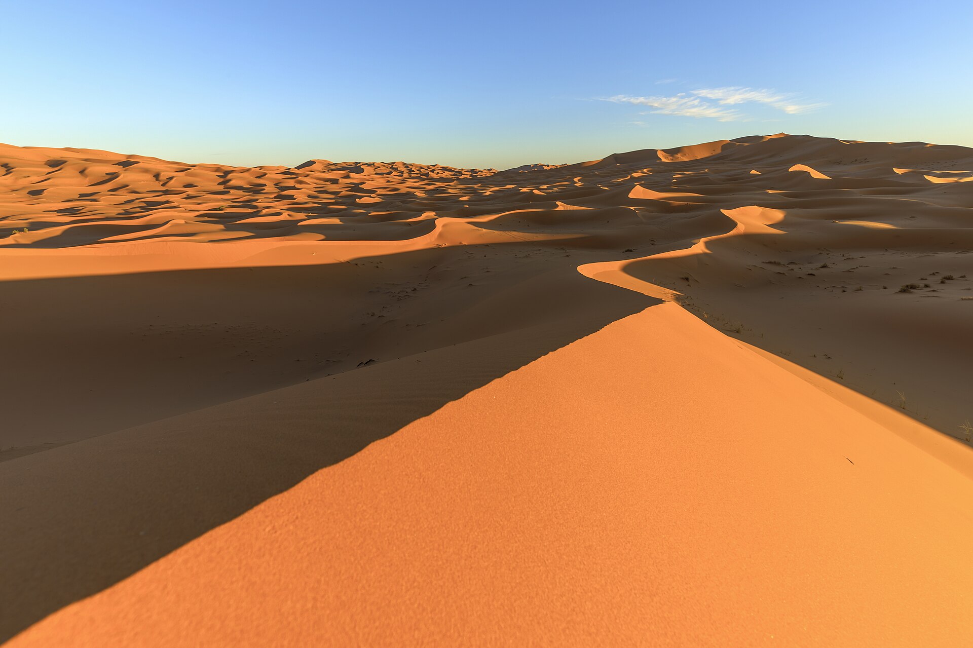Erg Chebbi dunes in evening light