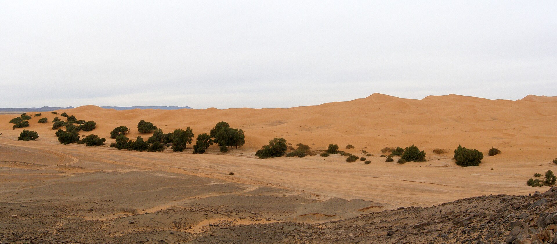 Erg Chebbi dunes panorama